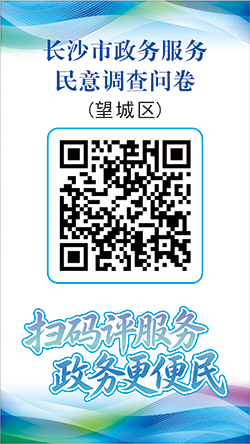 长沙市政务服务民意调查问卷